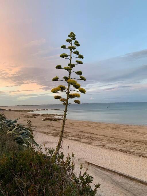 Cocon Neuf - 6 A 8 Pers 3 Chb Proche Plage, Port, Centre Ville Saint-Pierre-Quiberon Exteriér fotografie