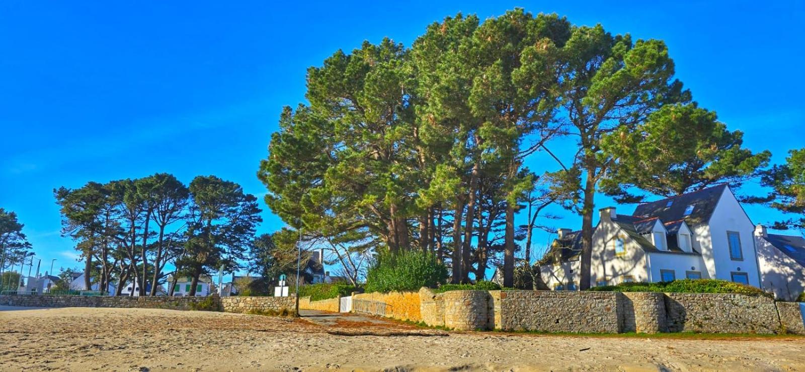 Cocon Neuf - 6 A 8 Pers 3 Chb Proche Plage, Port, Centre Ville Saint-Pierre-Quiberon Exteriér fotografie